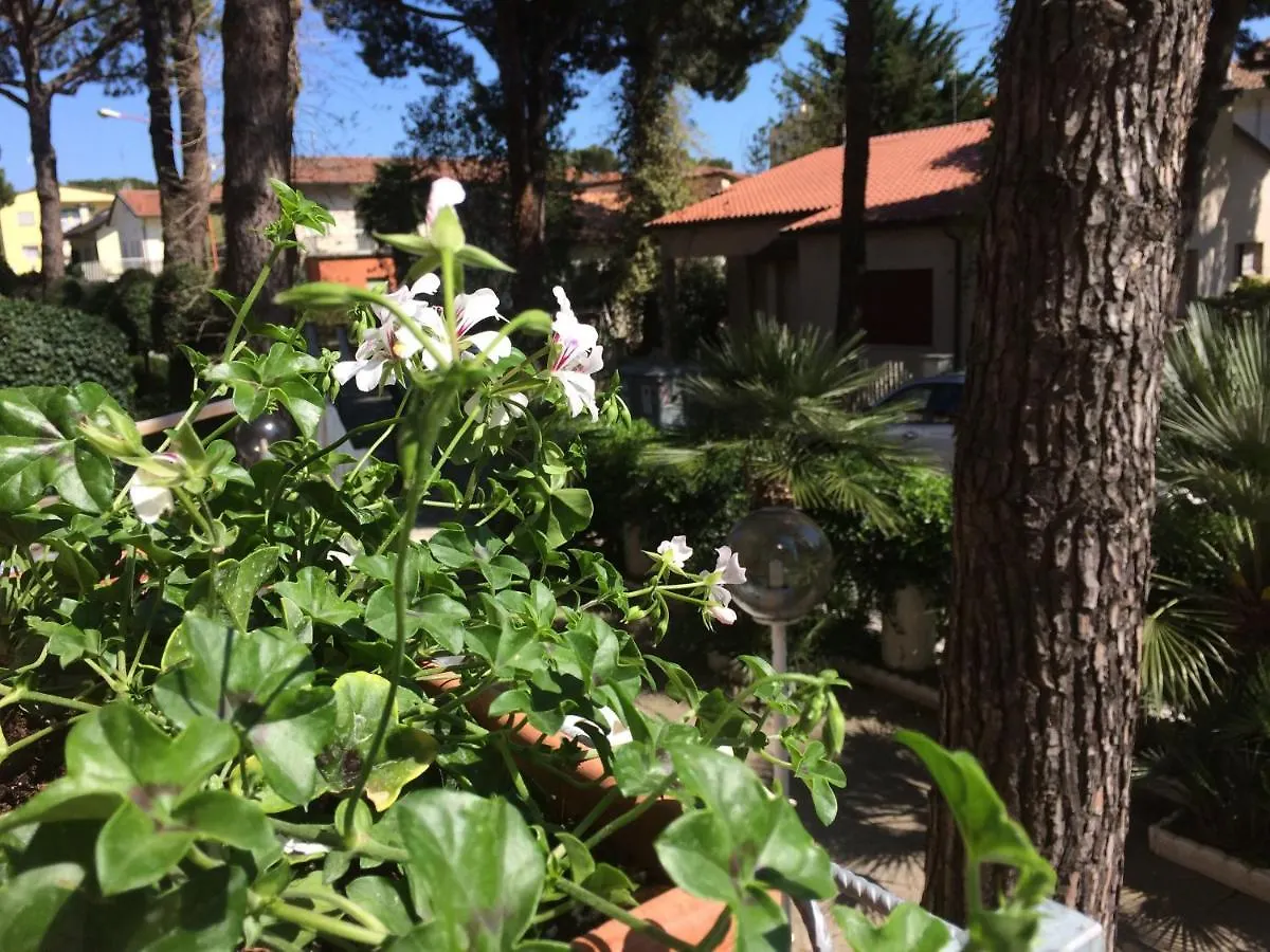 Alice Hotel Cervia
